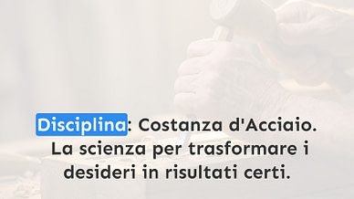 07. Disciplina