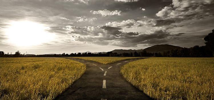 Due possibili strade