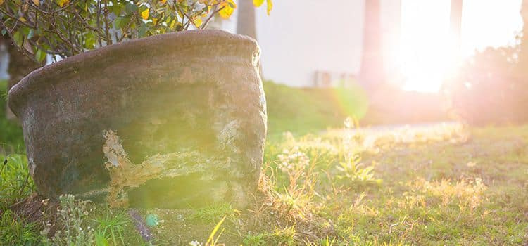 Splendere ogni giorno il sole