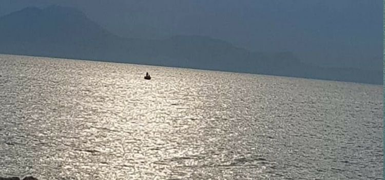Resilienza significato