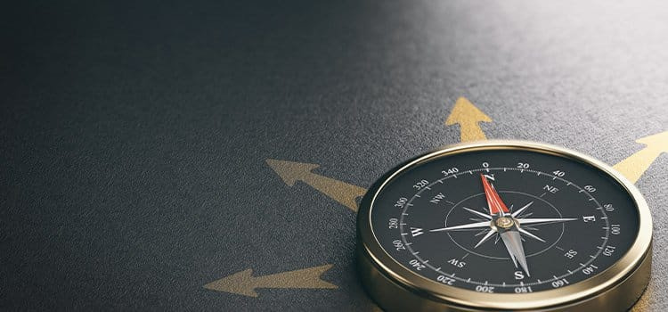 Decisioni